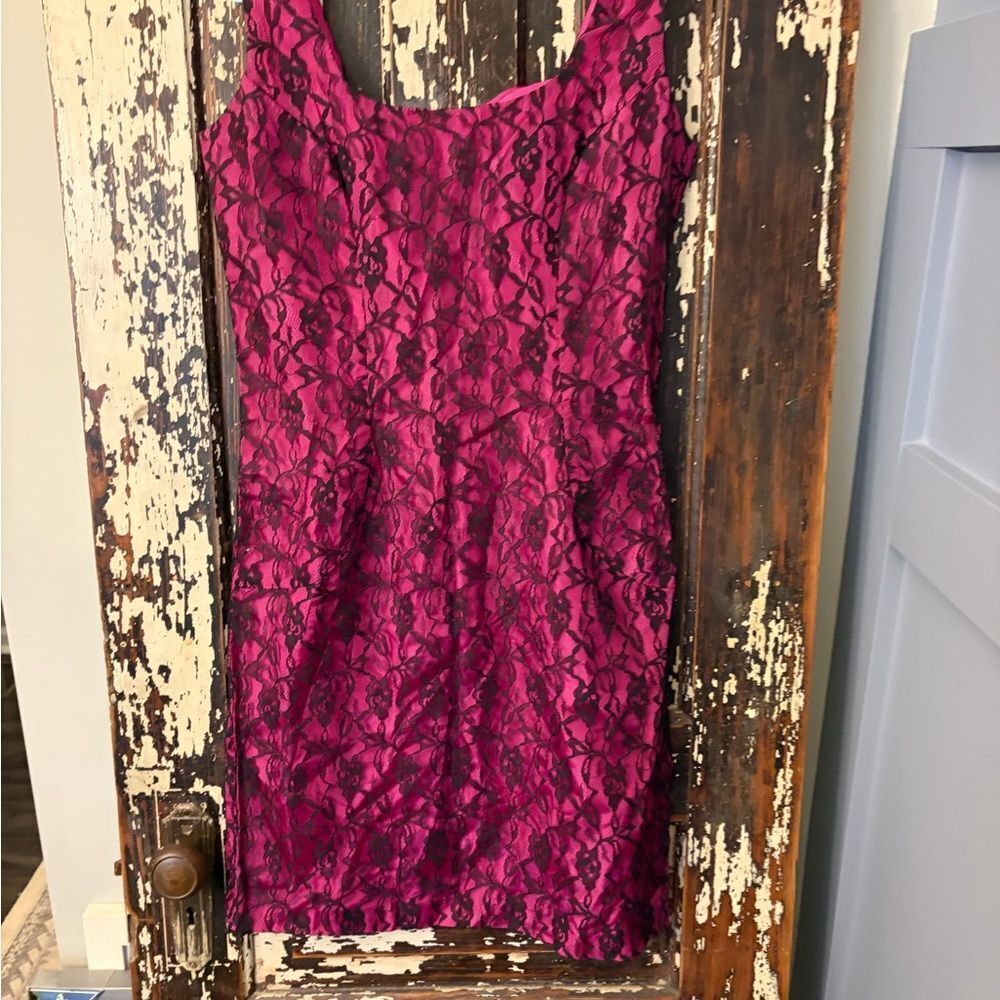 Nadine vintage Elegant Pink Lace Dress. Size 3/4.